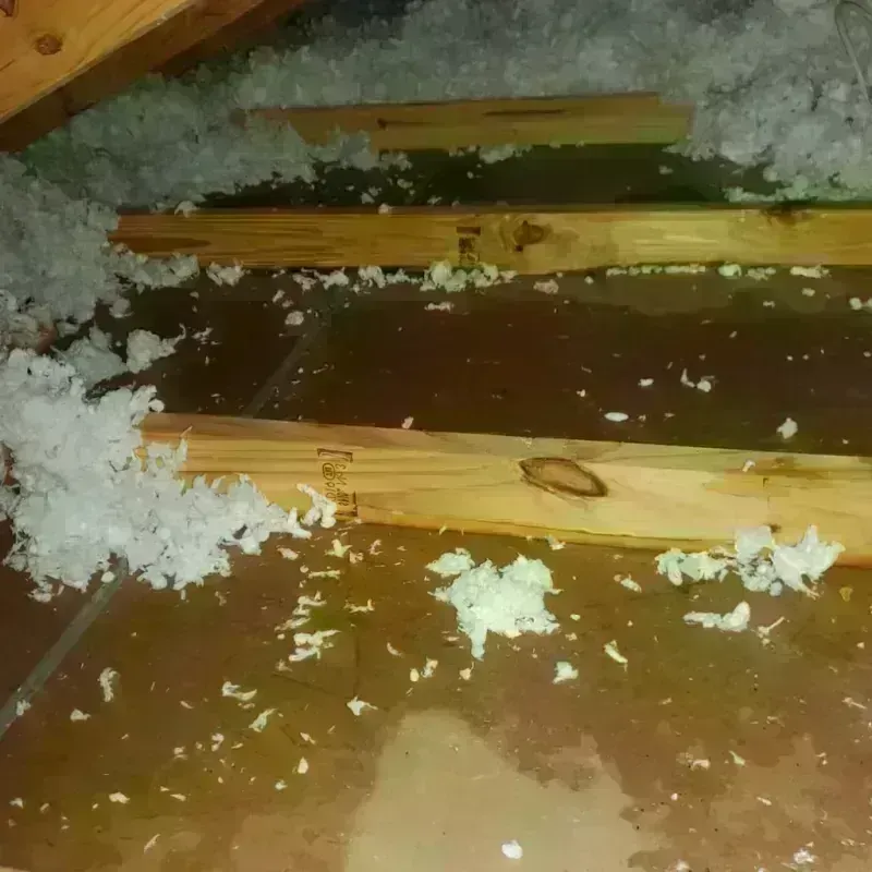 Best Attic Water Damage Service in Mitchell County, NC