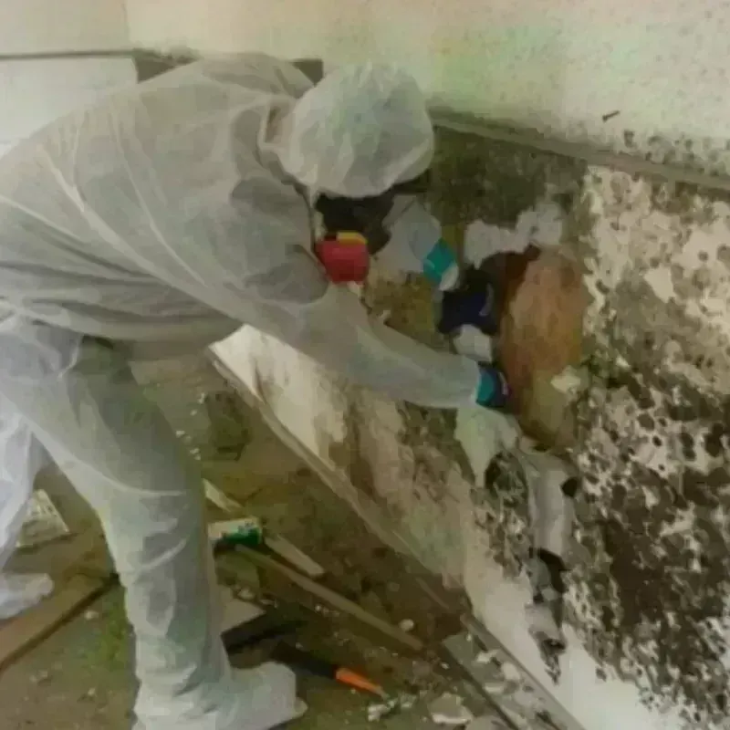 Mold Remediation and Removal in Mitchell County, NC