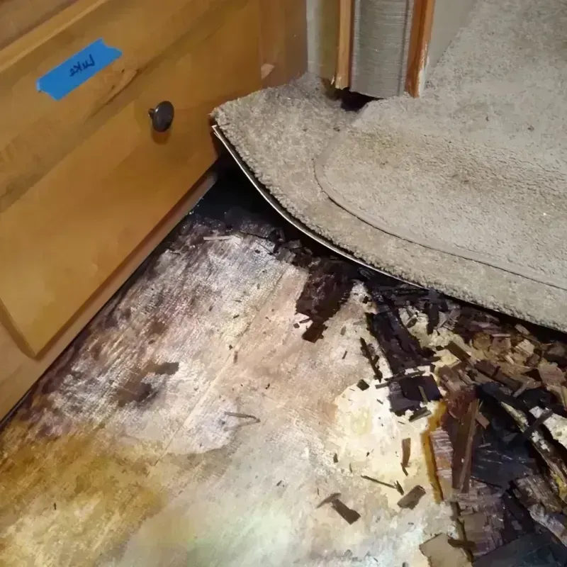 Wood Floor Water Damage in Mitchell County, NC